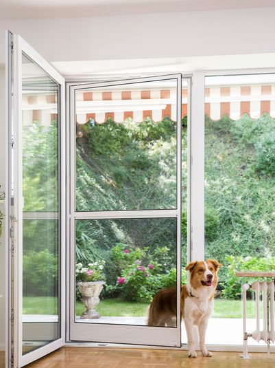 Insektenschutz von WO&WO